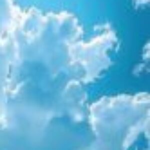 Profile photo of Deb