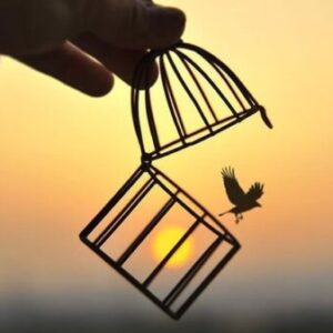 Profile photo of Ethan001