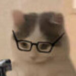 Profile photo of Shiro