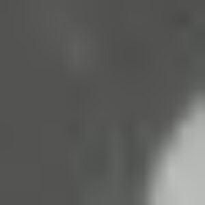 Profile photo of Christa Hollander