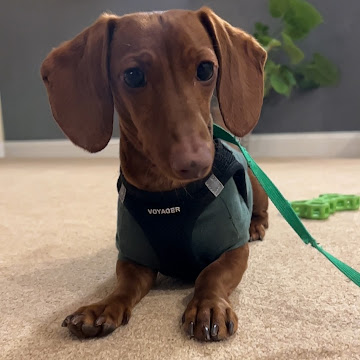 Profile photo of Daphine Robinson