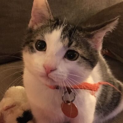 a30f64a0fbfd7c8f8d09fe562948313b