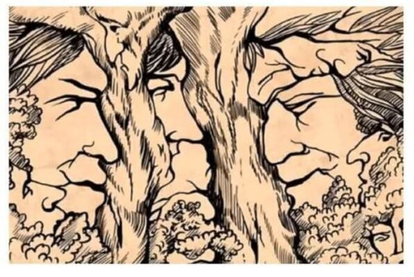 face-hidden-optical-illusion