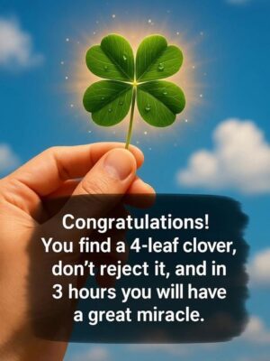 a141c82da7e19ffa944fb3238cb75537