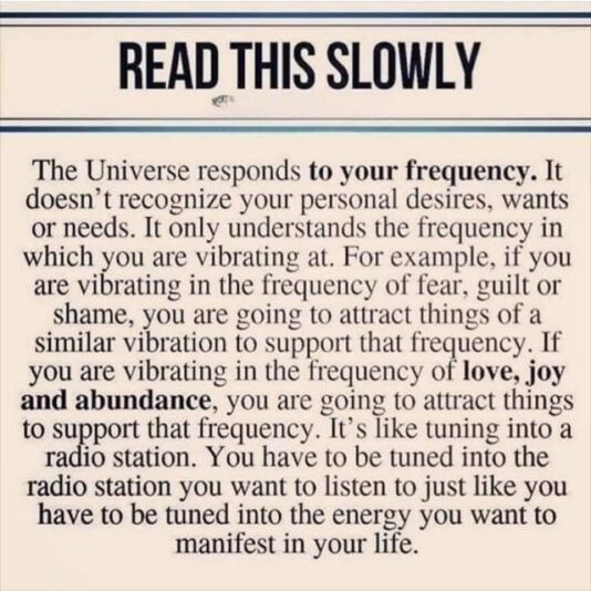 6f5bb170fece41178fb81447ed68efe5