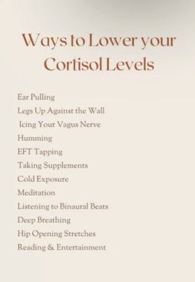 2b7b1a57dc52fa87df518e40eef34490