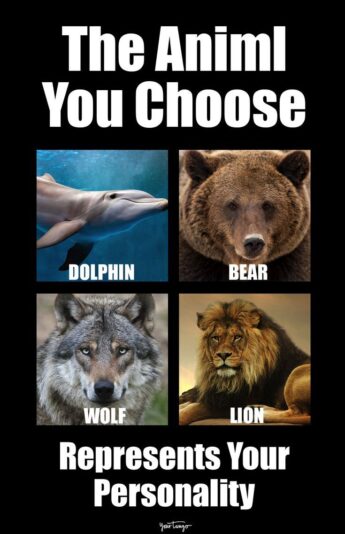 7c7ed219503c5b88313976d45c7c5e2d