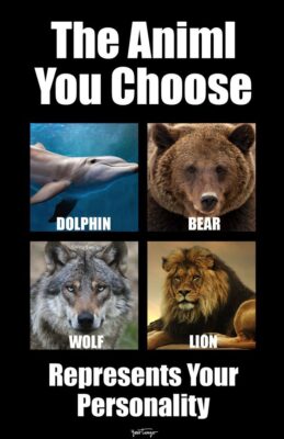 7c7ed219503c5b88313976d45c7c5e2d