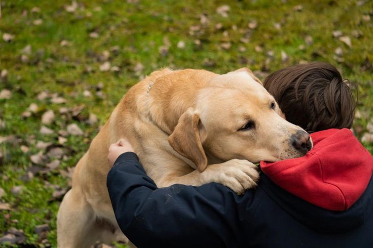 d02bf0c763627330938fd9173d238f61