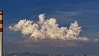 threadsdownloader.com_05434d